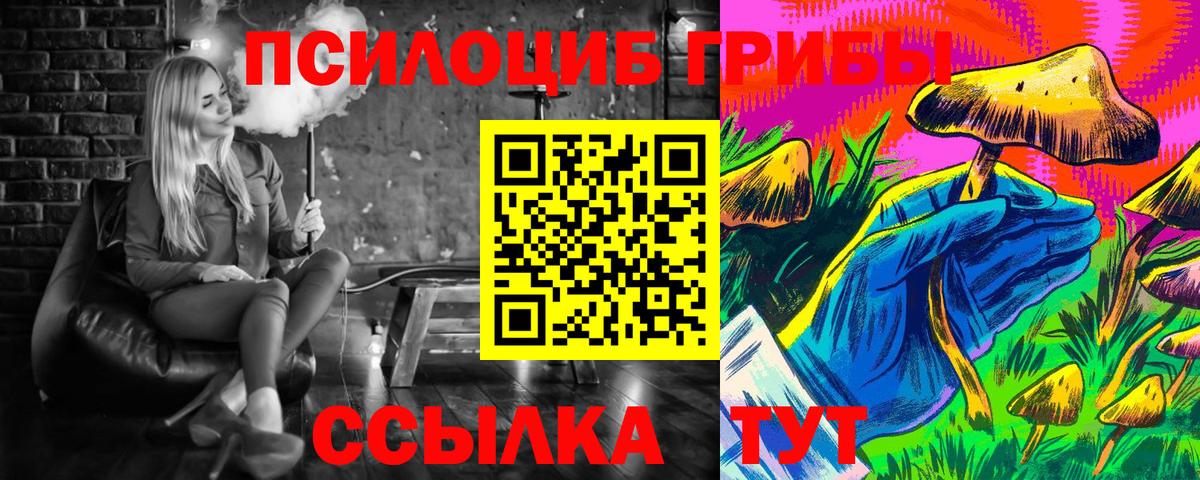 Галлюциногенные грибы Psilocybe Ижевск
