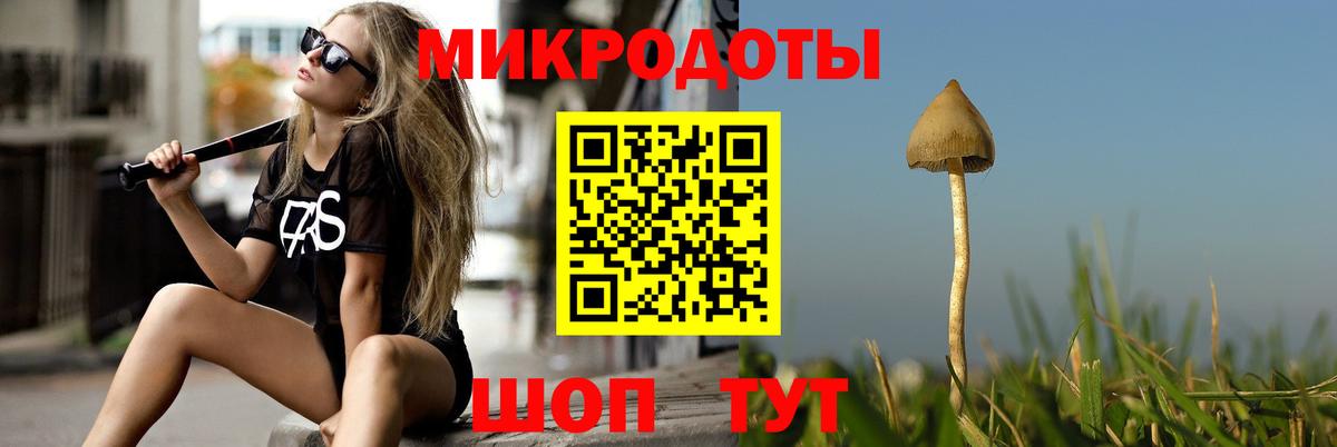 закладки  Вход с VPN  Ижевск  Псилоцибиновые грибы мухоморы 